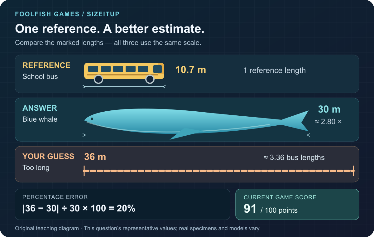 Teaching diagram comparing a 10.7-metre bus with a 30-metre whale at about 2.80 reference lengths and a 36-metre guess at about 3.36 reference lengths